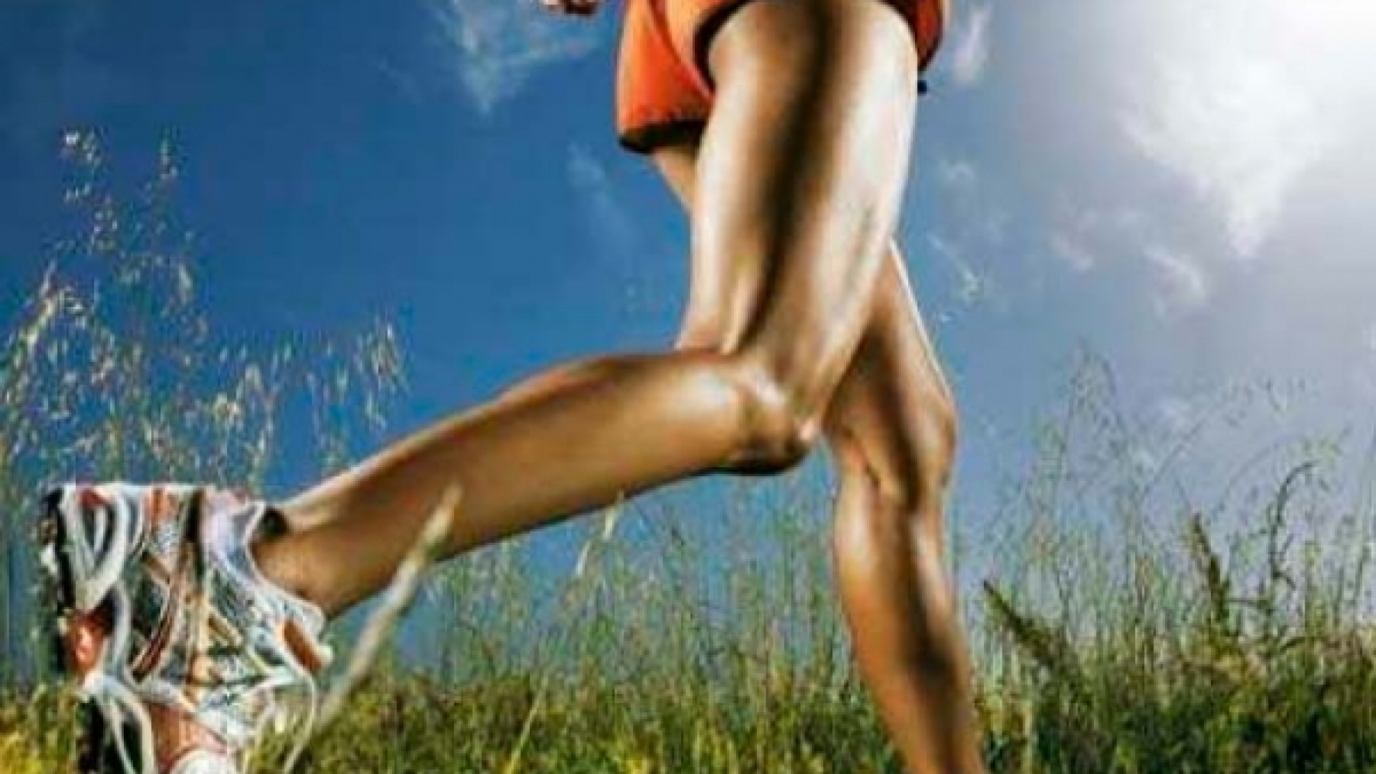 ¡Primavera!... motivación nueva