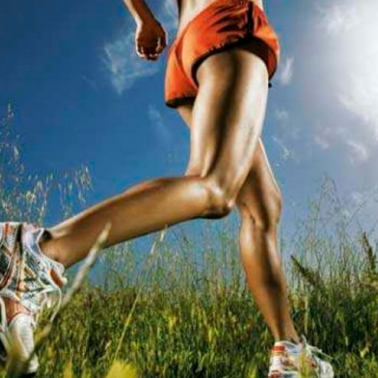 ¡Primavera!... motivación nueva